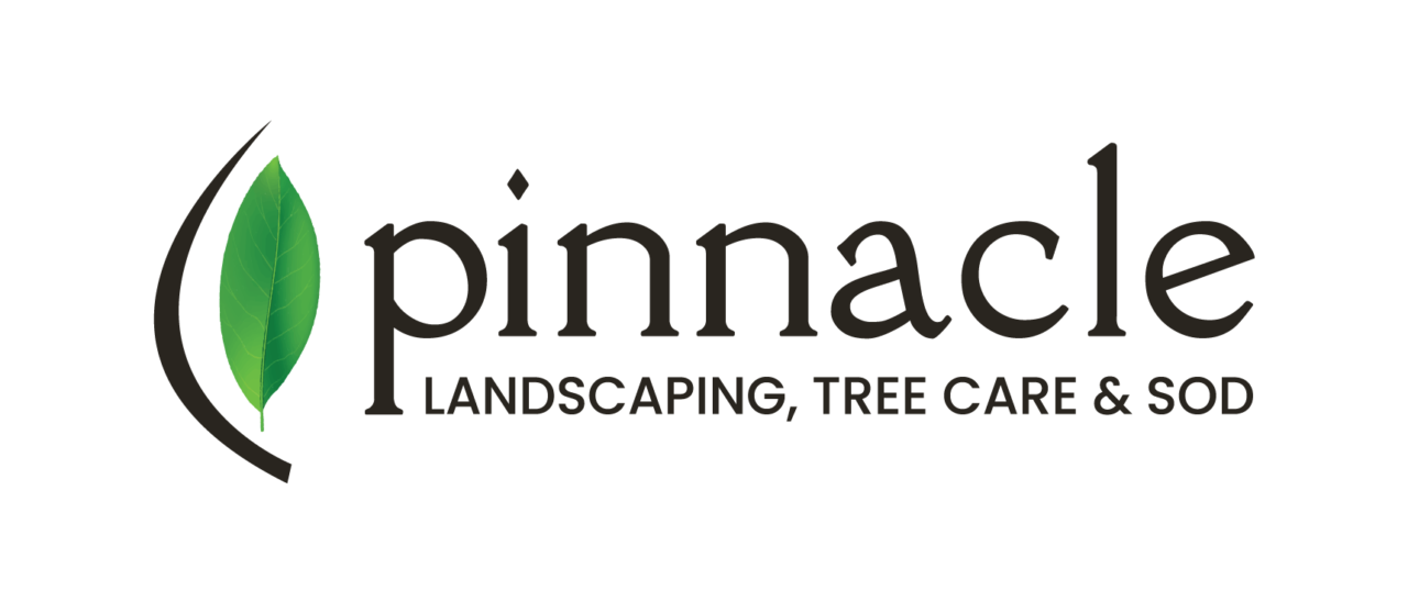 Tree Nursery Pinnacle